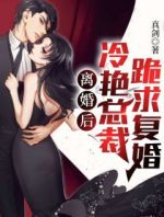 离婚后，冷艳总裁跪求复婚