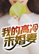 我的高冷未婚妻