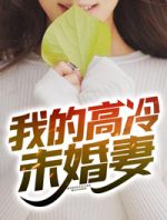 我的高冷未婚妻