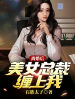 离婚后，美女总裁缠上我