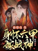 新婚夜，我身怀六甲嫁战神