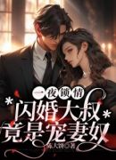 一夜锁情：闪婚大叔竟是宠妻奴