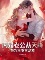 闪婚老公从天降，秦先生乖乖宠我