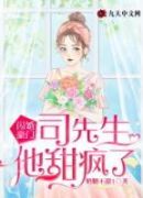 闪婚豪门，司先生他甜疯了