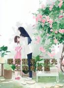 暖婚甜宠：邵先生宠妻成瘾