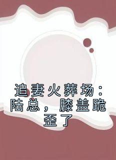 追妻火葬场：陆总，膝盖跪歪了