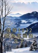 魂穿1922成为军阀独生子