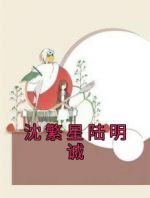 沈繁星陆明诚