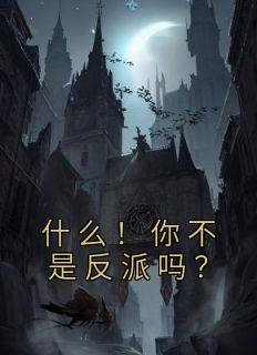 什么！你不是反派吗？