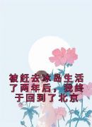 被赶去冰岛生活了两年后，我终于回到了北京