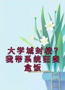 大学城封校？我带系统狂卖盒饭