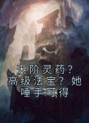 天阶灵药？高级法宝？她唾手可得