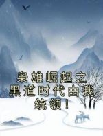 枭雄崛起之黑道时代由我统领！