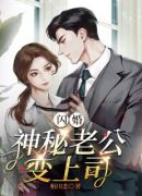 闪婚，神秘老公变上司