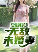 高手下山：无敌未婚妻