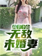 高手下山：无敌未婚妻