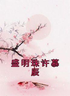 盛明珠许慕辰