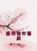 盛明珠许慕辰