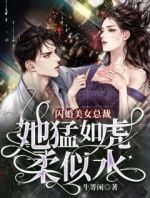 闪婚美女总裁：她猛如虎，柔似水