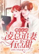 婚后心动：凌总追妻有点甜