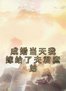 成婚当天我嫁给了夫君庶弟