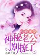 闪婚蜜爱：神秘老公别撩了