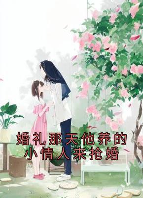 婚礼那天他养的小情人来抢婚