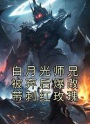 白月光师兄被弃后爆改带刺红玫瑰