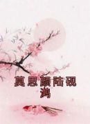 莫思颜陆砚鸿