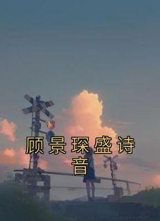 顾景琛盛诗音