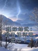 魂穿综武：武当祖师爷出山了