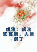 虐渣：成功和离后，夫君疯了