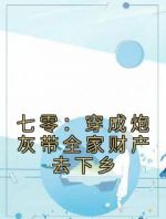 七零：穿成炮灰带全家财产去下乡