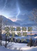 我在恐怖游戏里攻略 i 人 npc