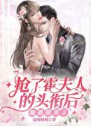 闪婚成宠：少奶奶今天回家了吗？