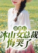 退婚后冰山女总裁悔哭了