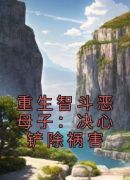 重生智斗恶母子：决心铲除祸害