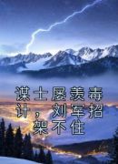 谋士屡羡毒计，刘军招架不住