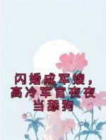 闪婚成军嫂，高冷军官夜夜当舔狗