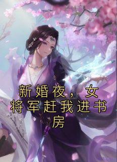 新婚夜，女将军赶我进书房