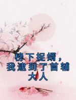 榜下捉婿，我逮到了首辅大人