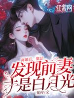 离婚后，黎总发现前妻才是白月光