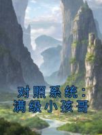 对照系统：满级小孩哥