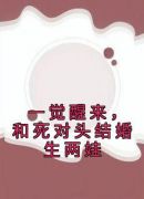 一觉醒来，和死对头结婚生两娃