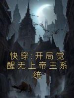 快穿:开局觉醒无上帝王系统