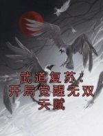 武道复苏：开局觉醒无双天赋