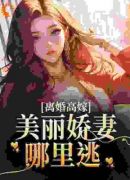 离婚高嫁：美丽娇妻哪里逃