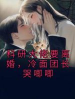 科研大佬要离婚，冷面团长哭唧唧