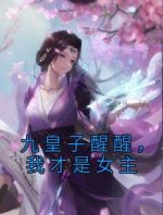 九皇子醒醒，我才是女主