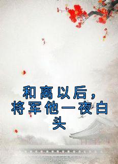 和离以后，将军他一夜白头